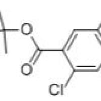 503555-23-5/5-溴-2-甲酸叔丁酯