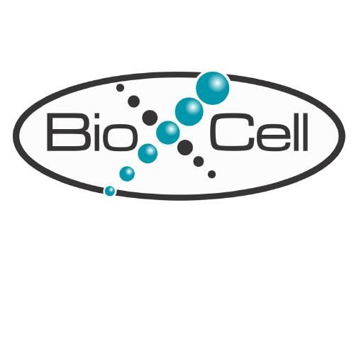 anti-mouse NKG2A/C/E 