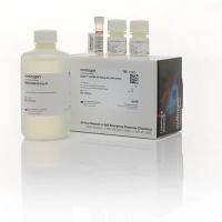Qubit™ dsDNA HS Assay Kit Q32854 /500 assays