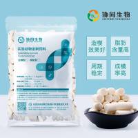 维生素缺乏模型饲料