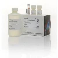Qubit™ dsDNA BR Assay Kit  Q32853 500 assays