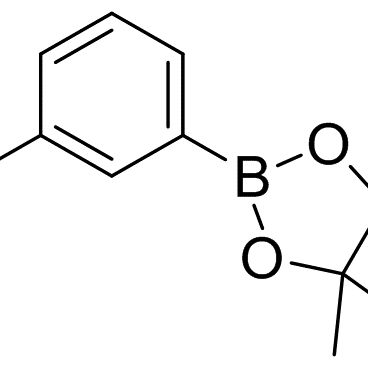 214360-76-6/ 3-羟基苯硼酸频哪醇酯 ,98%