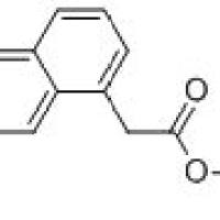 6836-21-1/	 7-甲氧基-1-萘基乙酸乙酯 ,	97%
