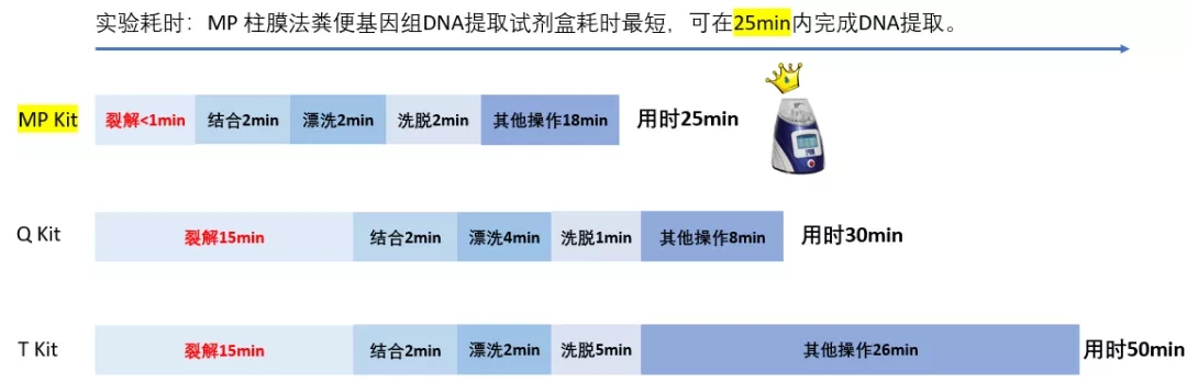 丁香通