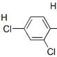 65146-54-5/	 2-氨基-1-(2,4-二氯苯基)乙酮盐酸盐 ,	97%