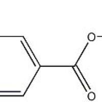 57785-85-0/2-羟基异烟酸乙酯