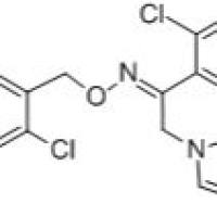 64211-45-6/奥昔康唑