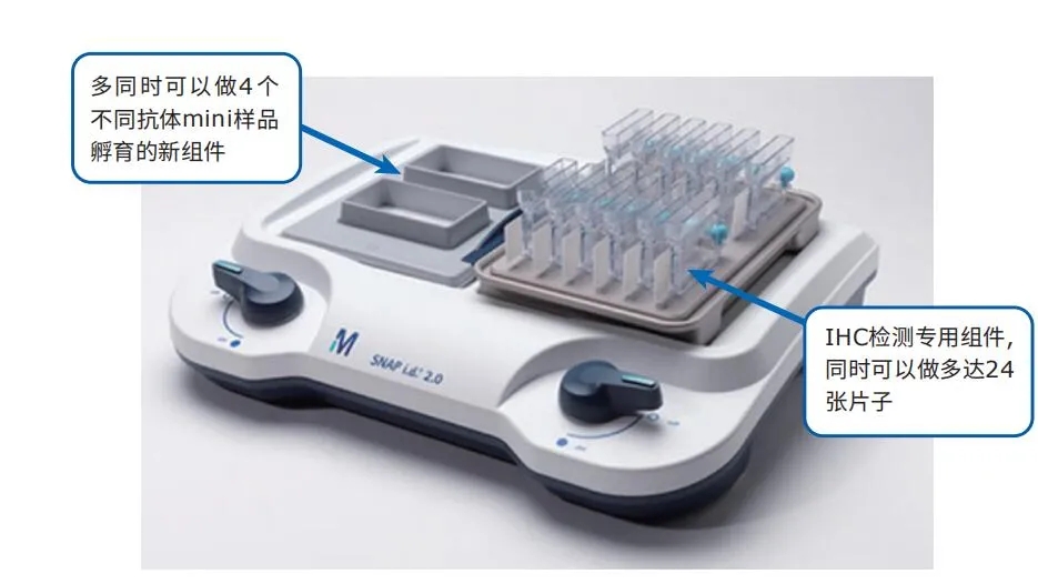 WB加速器-SNAPid |就是要快：30min搞定一抗/二抗孵育！