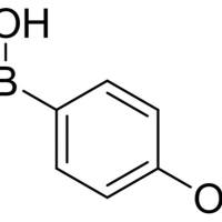 22237-13-4/ 对乙氧基硼酸, 98%