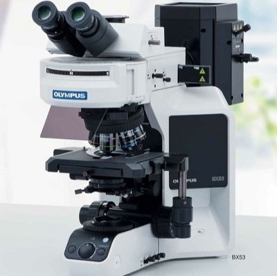 奥林巴斯Olympus BX53正置生物显微镜-为实验室研究设计 