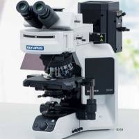 奥林巴斯Olympus BX53正置生物显微镜-为实验室研究设计 