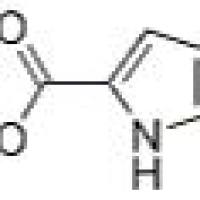 740813-37-0/	 5-溴咯-2-羧酸乙酯 ,	97%