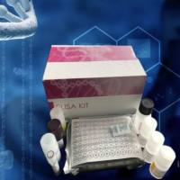 人胎盘蛋白13检测试剂盒