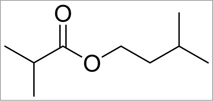 2050-01-3/	 异丁酸异戊酯,	>98.0%(GC)