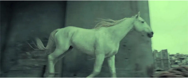 孕马血清促性腺激素热门产品研究——HOR-272 PMSG蛋白