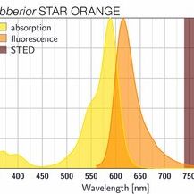 STAR ORANGE共聚焦和超分辨荧光染剂