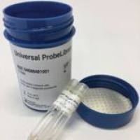 Universal ProbeLibrary Probe #156