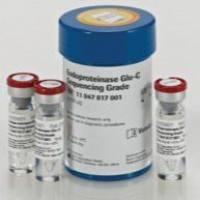 11420399001-胞内蛋白酶 Glu-C 测序级