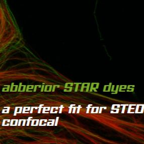 Abberior ST635P荧光染剂