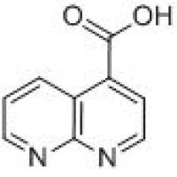99066-71-4/	 1,8-萘啶-4-羧酸 ,97%