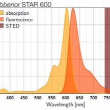 Abberior STAR 600共聚焦和超分辨荧光染剂