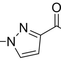25016-20-0/ 1-甲基吡唑-3-甲酸 , 97%