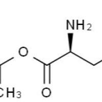 25456-86-4/ L-天冬酰胺叔丁酯 , 98%
