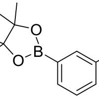 253342-48-2/	 3-(4,4,5,5-四甲基-1,3,2-二氧杂环戊硼-2-基)甲苯,	98%