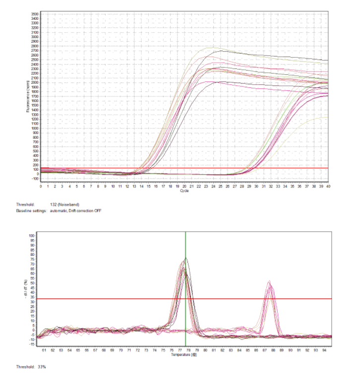 荧光定量PCR，qPCR实验服务