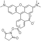 246256-50-8/ 5(6)-羧基四甲基罗丹明琥珀酰亚胺酯 ,≥95%