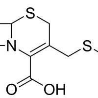 24209-38-9/	 头孢甲肟中间体,	99%
