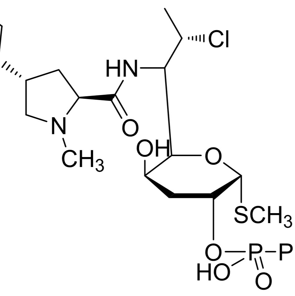 24729-96-2/ 克林霉素磷酸酯 ,98%