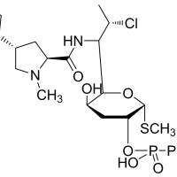 24729-96-2/	 克林霉素磷酸酯 ,	98%