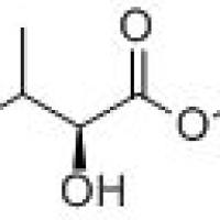24347-63-5/	 (S)-2-羟基-3-甲基丁酸甲酯 ,	95%