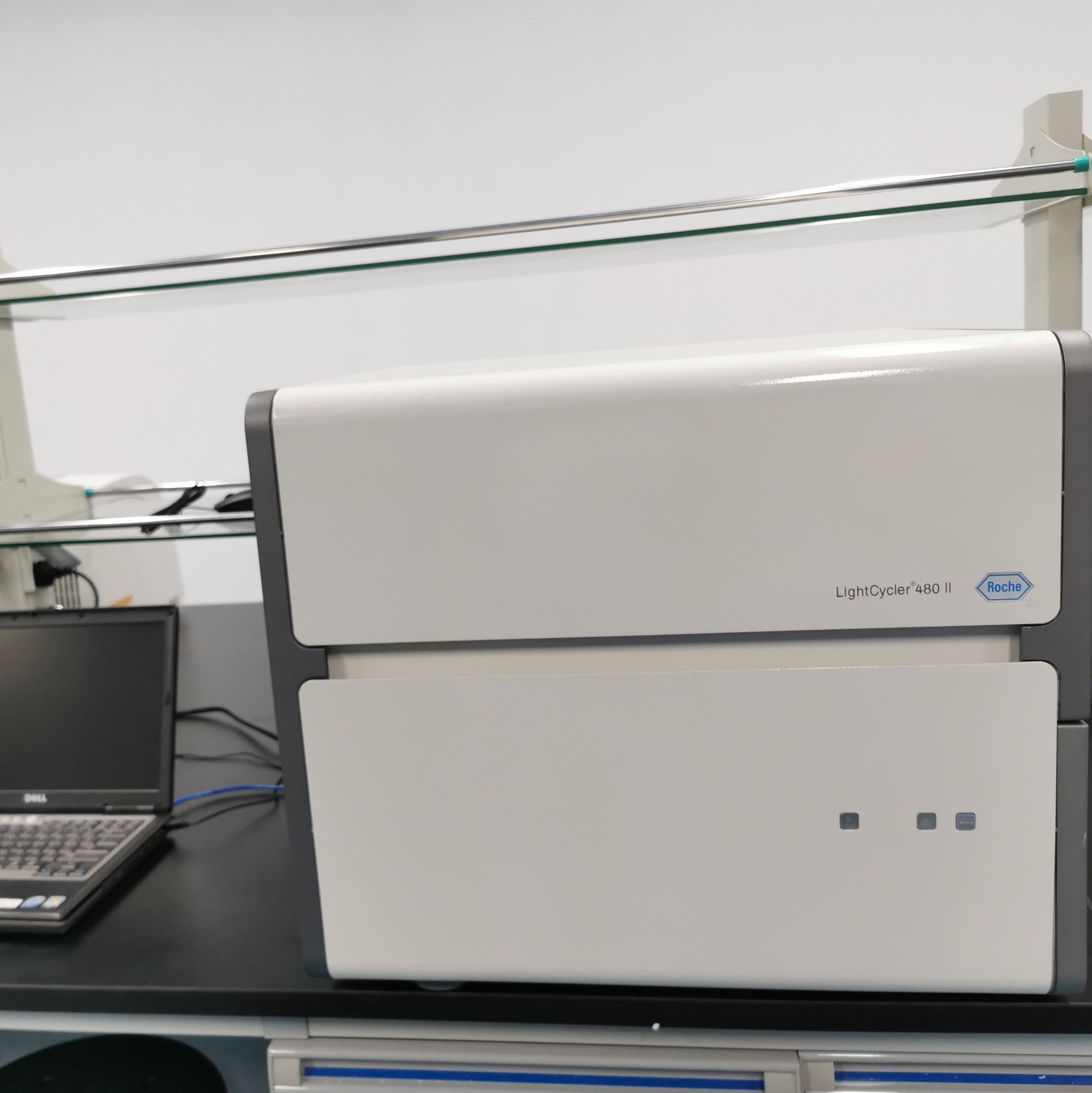 二手LightCycler® 480实时荧光定量PCR仪