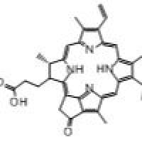 24533-72-0/	 焦脱镁叶绿酸-a ,	≥95%