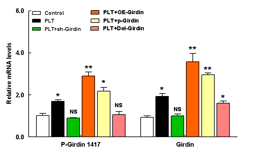 荧光定量PCR，qPCR实验服务