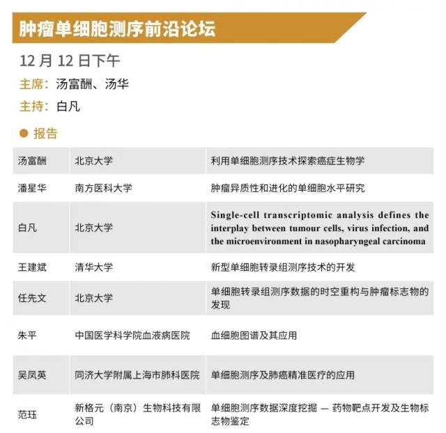 image13.jpeg