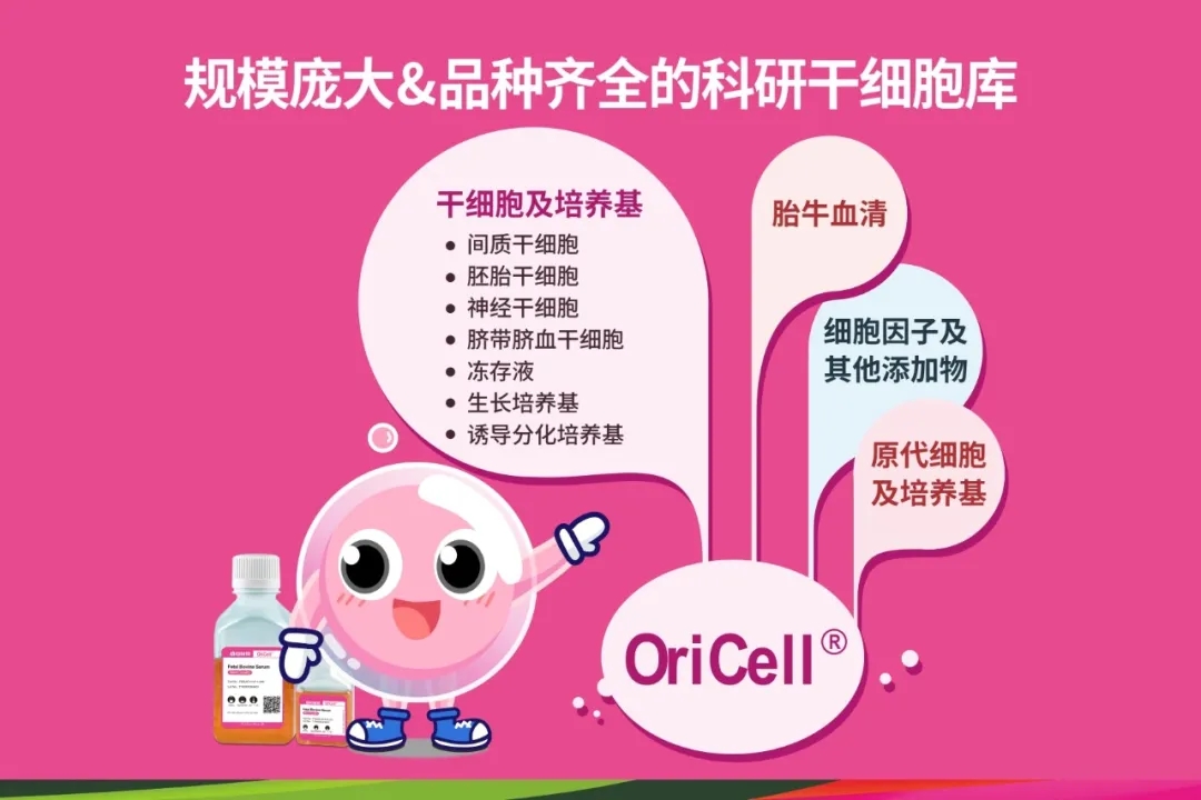 赛业生物诚邀您参与首届华南疾病模型与临床研究论坛