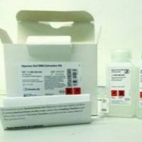 琼脂糖凝胶 DNA 提取试剂盒