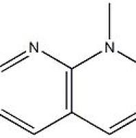 69099-05-4/1-甲基-7-氯-1,8-萘啶-2(1H)-酮 ,	≥95%