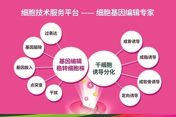 赛业生物诚邀您参与首届华南疾病模型与临床研究论坛