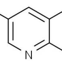 14756-77-5/ 1,5-萘啶-3-胺 , 97%