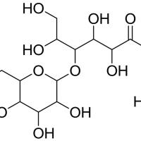 27297-39-8/	 乳糖酸钠,	≥99%