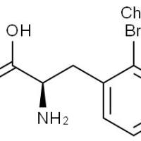 267225-27-4/	 (R)-2-氨基-3-(2-溴苯基)丙,	98%