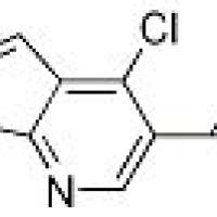675111-88-3/	 4-氯-1-甲基-1H-吡唑并[3,4-B]吡啶-5-羧酸 ,	97%