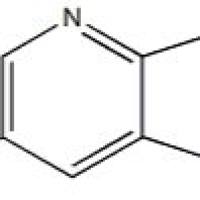 1175015-76-5/6-甲基-4-氮杂-吲哚