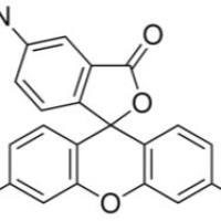 27599-63-9/ 5(6)-氨基荧光素,≥95%