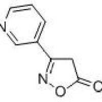 101084-94-0/3-(3-吡啶基)-5(4H)-异恶唑酮