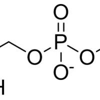 28319-77-9/	 甘油酸胆碱 ,	98%